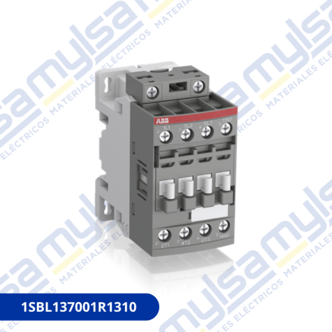 1SBL137001R1310