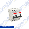 Thumbnail DS203-C10-AC30 INTERRUPTOR COMBINADO 3P+N 10A 30mA TIPO AC0